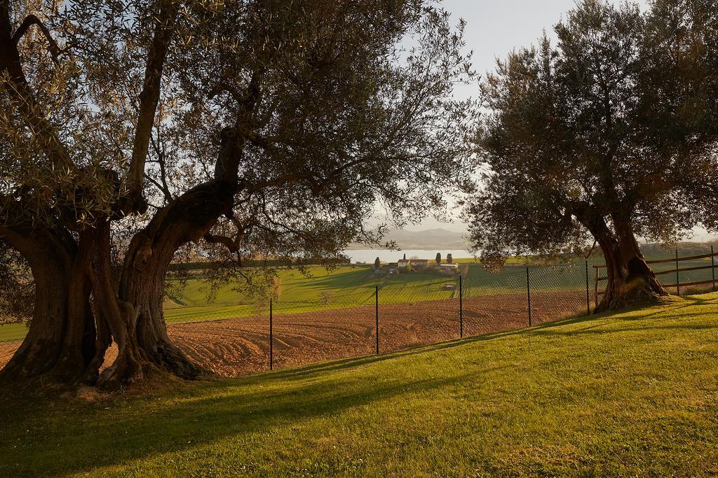 קאסטיגליונה דל לאגו Podere Fontegallo מראה חיצוני תמונה